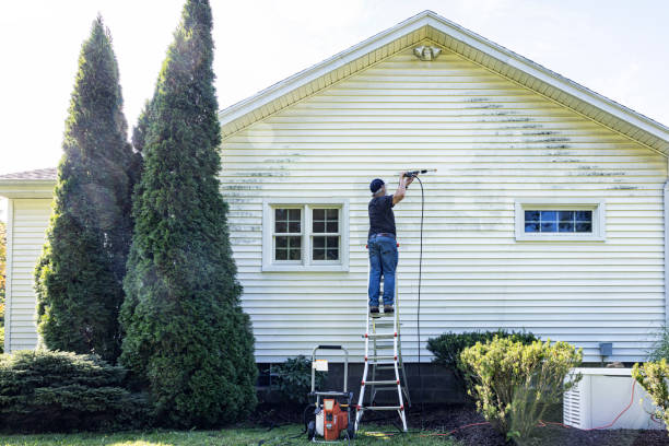 Best Roof Pressure Washing  in Springfield, IL