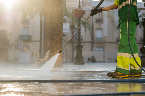 Best Roof Power Washing Services  in Springfield, IL