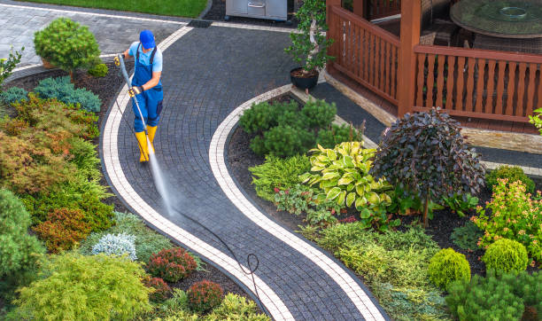 Local Pressure Washing Services in Springfield, IL